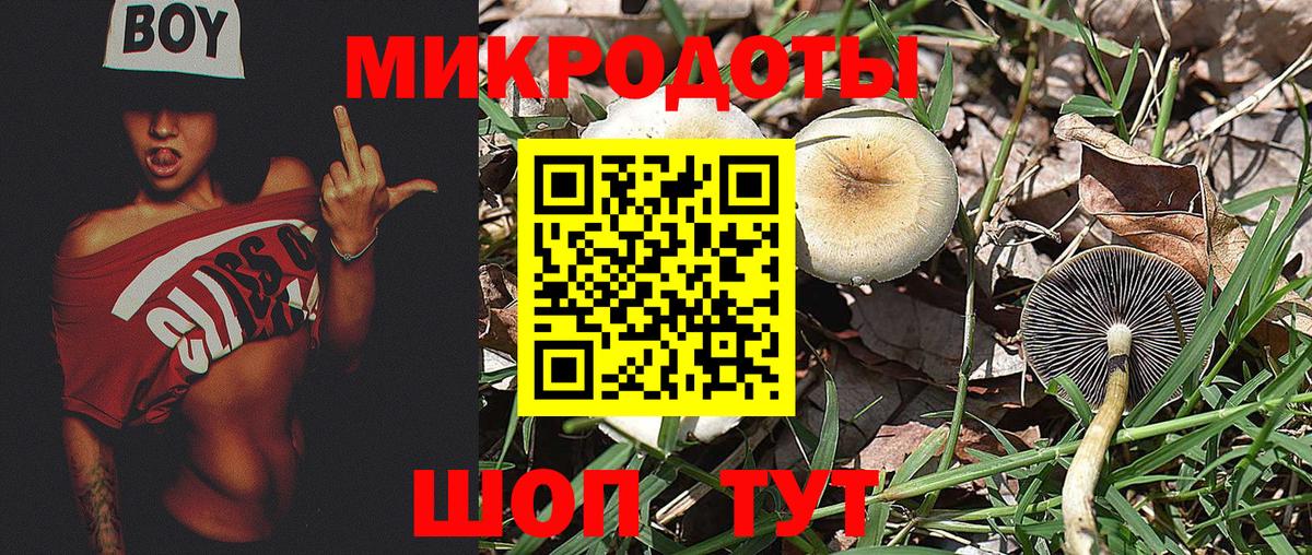 Псилоцибиновые грибы Magic Shrooms Бердск