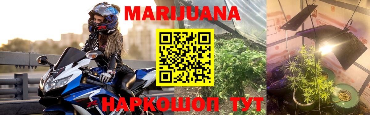 Канабис SATIVA & INDICA Бердск